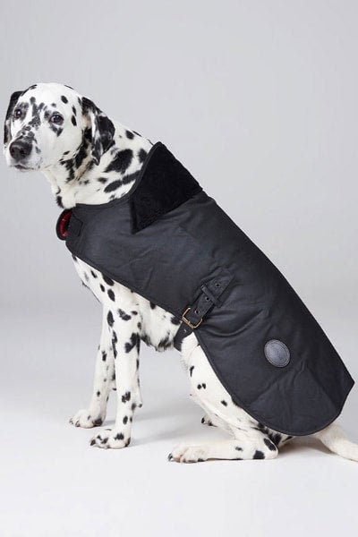 Barbour dog jackets sale best sale